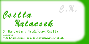 csilla malacsek business card